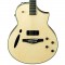 قیمت خرید فروش گیتار الکترو آکوستیک Ibanez MSC 380NT